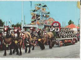 Germany - Munchen - Oktoberfest - Beer Carriage - Muenchen