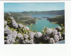 Portugal Cor 22526 - AÇORES AZORES - SÃO MIGUEL - LAGOA DAS SETE CIDADES - Açores