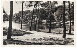 Nederland/Holland, Oisterwijk, Diaconieven, Ca. 1960 - Sonstige & Ohne Zuordnung