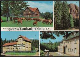 AK Tambach-Dietharz, Berghotel Ebertsweise, Falkenstein, Rodebachmühle, Gel,1968 - Tambach-Dietharz