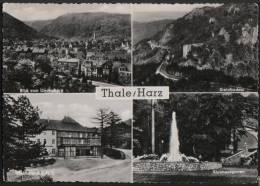AK Thale, Steinbachtal, Klubhausgarten, Klubhaus, Lindenberg, Gel, 1965 - Thale