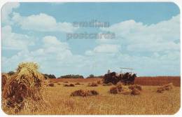 USA, INDIANA, AMISH FARMS, HORSE CART WHEAT HARVEST -c.1960s Vintage Unused Postcard  [c3504] - Other & Unclassified