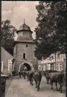 AK Stolberg, Rittertor Mit Kuhherde, Ung, 1960 - Stolberg (Harz)