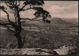 AK Blick Vom Papststein Auf Gohrisch Und Den Lilienstein, Gel, 1961 - Gohrisch