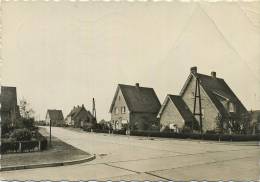 Oostkamp :  Nieuwe Cité Macieberg       ( Groot Formaat   Geschreven  )    Sie Detail Scan - Oostkamp