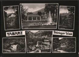 AK Tabarz, Aschenbergstein, Lesehalle, Schweizerhaus, Massemühle, Ung, 1964 - Tabarz