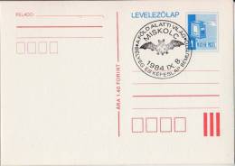 BAT - 1984 HUNGARY - "undervorld" Stamp Exhibition - MISKOLC - Commemorative Stamping - STATIONERY - POSTCARD - Bats