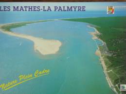 17 - LES MATHES - LA PALMYRE - (Vue Aérienne De L´ Anse De La Coubre) - Les Mathes