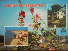 17 - LA PALMYRE - LES MATHES - (Multivues) - Les Mathes