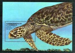 BLOC FEUILLET DOMINICA TORTUE - Tortues