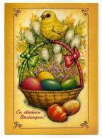 BIELORUSSIE ENTIER POSTAL  PÂQUES OEUF DECORE POUSSIN - Easter