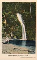 Blue Basin Waterfall And Swiming Pool Trinidad BWI Old Postcard - Trinidad