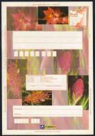 BRESIL - FLEURS  / TELEGRAMME ILLUSTRE (ref 4284) - Postal Stationery