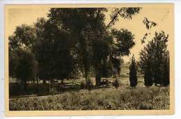 Boissy L´Aillerie - Vers Le Tennis - Maison De Vacances UCJF - Vieille Voiture - Boissy-l'Aillerie