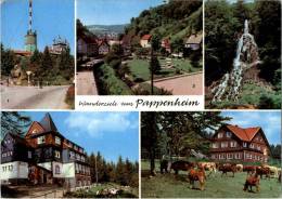 AK Pappenheim, Platz Der DSF, Hotel Ebertswiese, Spießberghaus, Ung, 1974 - Pappenheim
