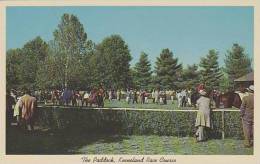 Kentucky Lexington The Paddock - Lexington