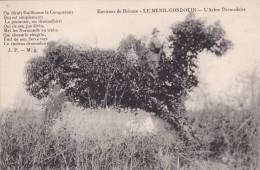 CPA - 61 - ORNE - LE MESNIL-GONDOUIN -  L' ARBRE DROMADAIRE - Briouze