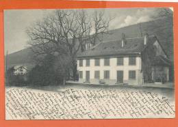 U094, St. Blaise , Saint Blaise, Le Grand Tilleul,précurseur, Circulée 1902 - Saint-Blaise