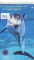 Télécarte Japon * DAUPHIN * DOLPHIN (788) Japan Phonecard * DELPHIN * GOLFINO * DOLFIJN * - Delfines