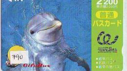 Carte Prépayée  Japon  * DAUPHIN * DOLPHIN (790) Japan PREPAID CARD * DELPHIN * GOLFINO * DOLFIJN * - Delfini