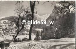 Delcampe - SAMOENS - Le Criou Vu Du Télé-Benne - Samoëns