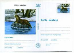 ENTIER POSTAL STATIONERY ROUMANIE LOUTRE - Rongeurs