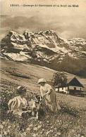 Fev13 328 : Dent Du Midi  -  Champs De Narcisse - Cham