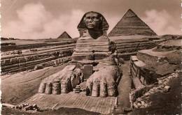 THE GREAT SPHINX OF GIZA Le Grand Sphinx De Gizeh (photo Véritable) - Sfinge