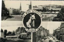 (543) Older UK Postcard - Scotland - Forfar - Angus