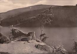 SOSA, BLICK ZUM AUERSBERG, LAKE, GENERAL VIEW - Auersberg