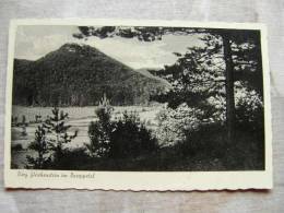 Burg Gleichenstein  Im Rossopetal  1930's   D98528 - Leinefelde