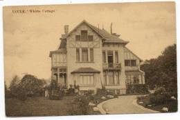 23718  -   Uccle  White Cottage - Uccle - Ukkel