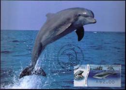 2012 Israel  Bottlenose Dolphin ATM 006 MC 3 - Maximum Cards