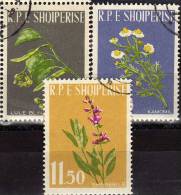 Naturschutz Heilpflanzen 1962 Albanien 654/6 O 3€ Echte Kamille Silber-Linde Salbei Flora Set Of Shqiperia - Pharmazie