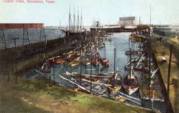 Oyster Fleet Galveston TX 1905 Postcard - Galveston