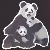 Giant Panda - Giant Panda Mum & Twins, Abnormity Postcard (E03) - Beren