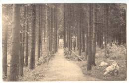 D10788- Camp D' Elsenborn - Mess Des Officiers - Elsenborn (camp)