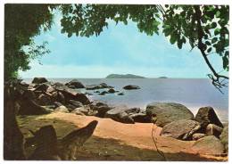 Guyane Française - Cayenne - Ilet "La Mère" Vue De La Pointe Diamant - Cayenne