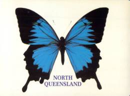 (372) Australia - Butterfly - Butterflies