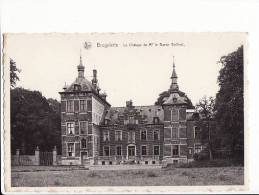 Belgique - Brugelette , Le Château De Mr Le Baron Goffinet - Brugelette