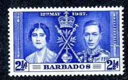 024)  BARBADOS 1937  SG.#247 (*) - Barbados (...-1966)