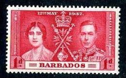 025)  BARBADOS 1937  SG.#245 (*) - Barbades (...-1966)