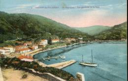 83--VAR---HYERES LES PALMIERS    ILE PORT CROS   VUE DE LA BAIE    NON   ECRITE‹(•¿• )› - Hyeres