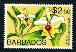 265)  BARBADOS 1966  SG.#355  (*) - Barbades (1966-...)