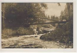 TRIEBTAL  - Vogtländische Schweiz - Loreley Steg , Gelaufen 1928 - Vogtland