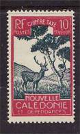 Nouvelle Caledonie  Taxe N° 29 Neuf ( X X) - Postage Due