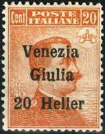 ITALIA, ITALY, TERRE REDENTE, VENEZIA GIULIA, 1919, FRANCOBOLLO NUOVO (MNH**), Mi 31, YT 31, Un 31 - Vénétie Julienne