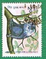 INDIA  -  SG 1100 -  1983  / ANIMALS: INDIAN MONKEYS             -  USED - Gebruikt