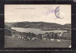36097     Germania,   Titisee-Panorama Mit  Feldberg,  VGSB  1913 - Feldberg