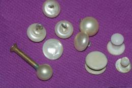 Splendides BOUTONS NACRE  Pour Corsage / LOT De 10 - Buttons